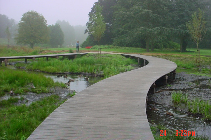 Houten wandelpad in moerasgebied