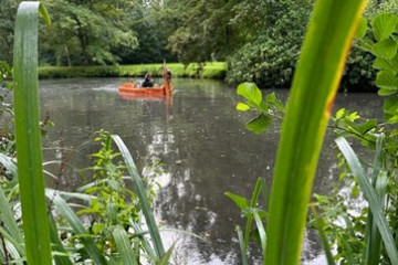 Eendekroos Algen Waterteunis Vijver 2